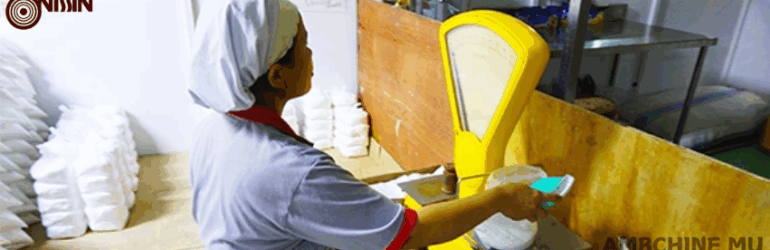 Driver Pengiriman PT Nissin Biscuits Indonesia, Semarang